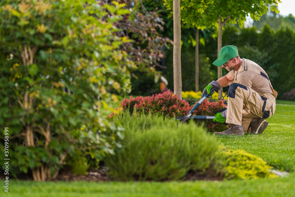 Professional Gardening Services