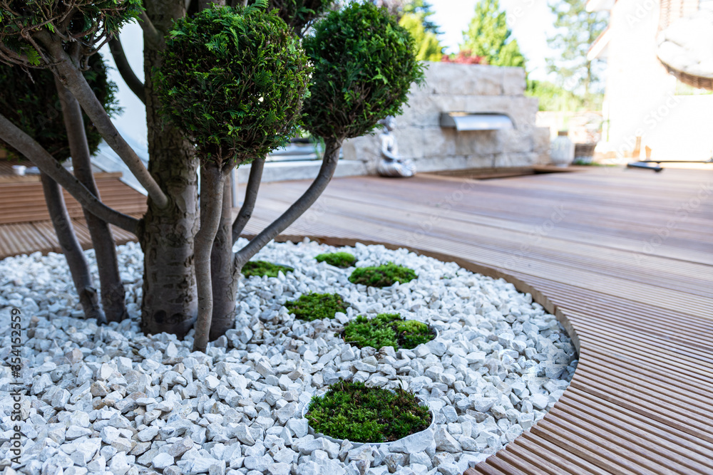Decking Construction & Maintenance
