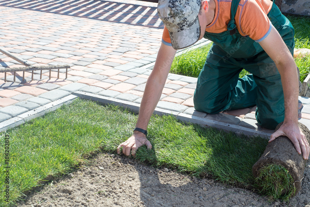 Natural Lawn Care & Installation