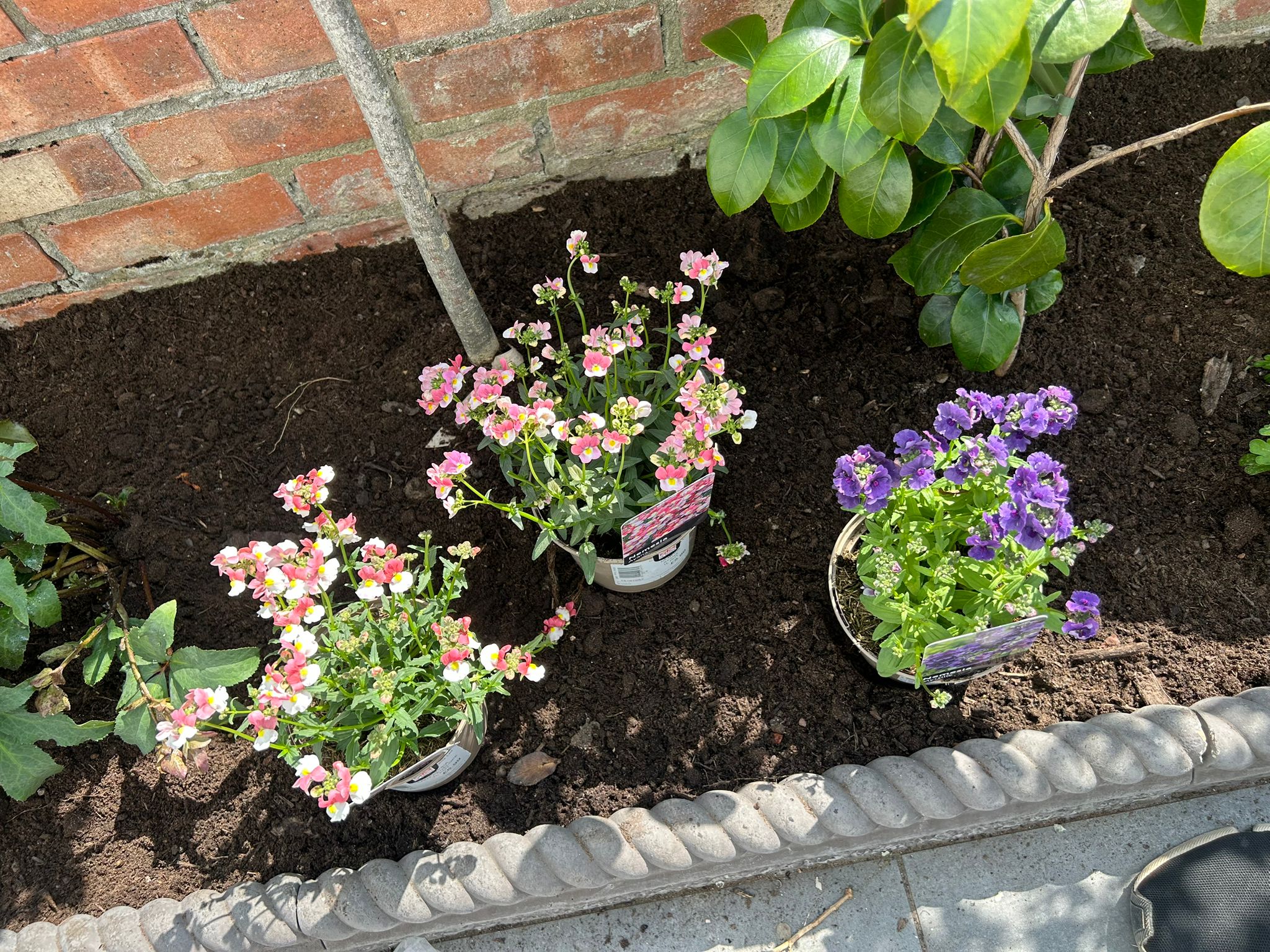 Professional Gardening Services